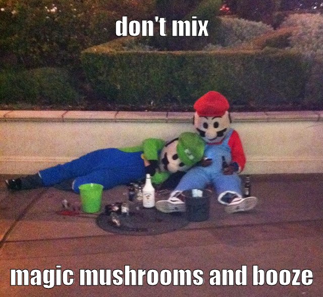 magic mushrooms and booze
