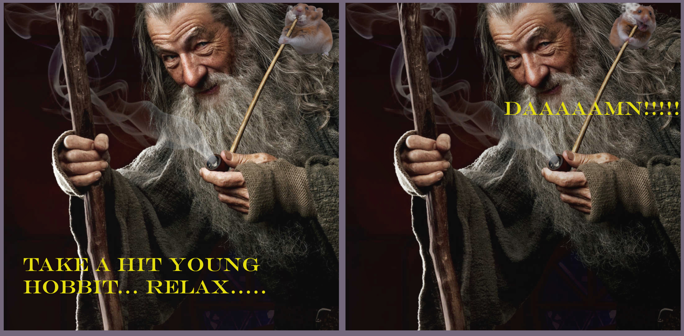 Gandalf The Grey from "The Hobbit" sharing his pipe with a small friend....