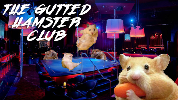 Hamsters at a strip club