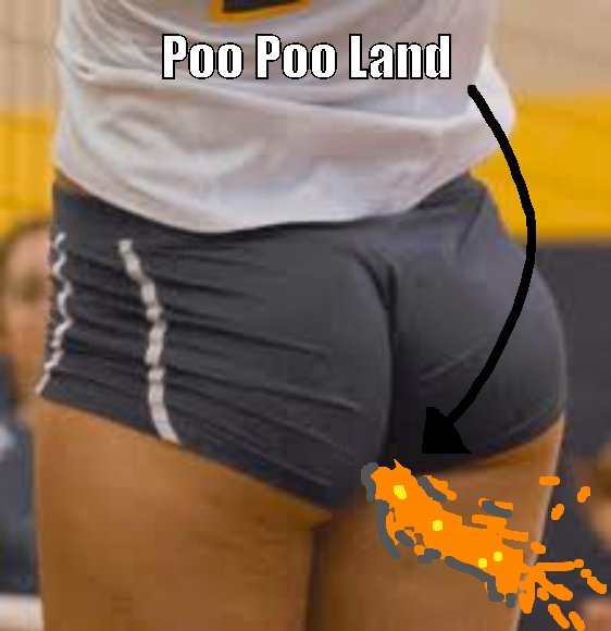 Where the poo comes from..