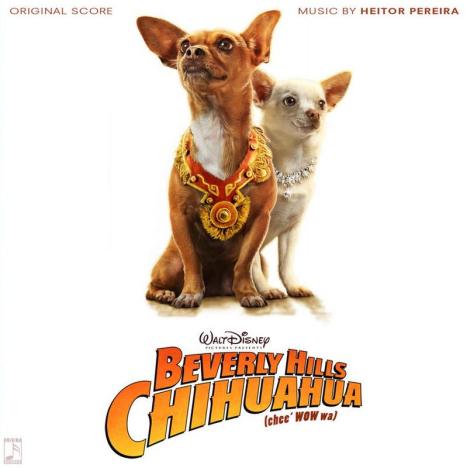 Chloe from Beverly Hills Chihuahua