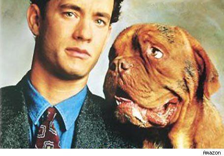 HOOCH! His real name is Beasley. He starred opposite Tom Hanks in the 1989 comedy Turner  Hooch. While Beasley passed away in 1992, his legacy lives on.
