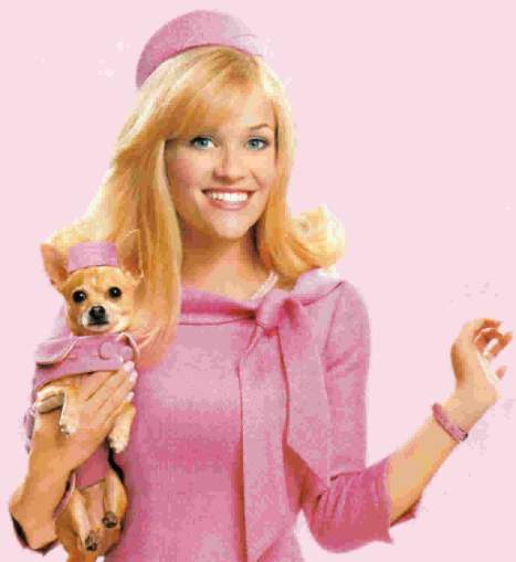 Bruiser from the movie Legally Blonde his real name is Mooney