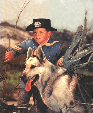 Rin Tin Tin. A German shepherd who ranked as one of the all-time famous canine movie stars. Rinty was in 19 movies before his death in 1932