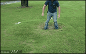 water the grass gif -