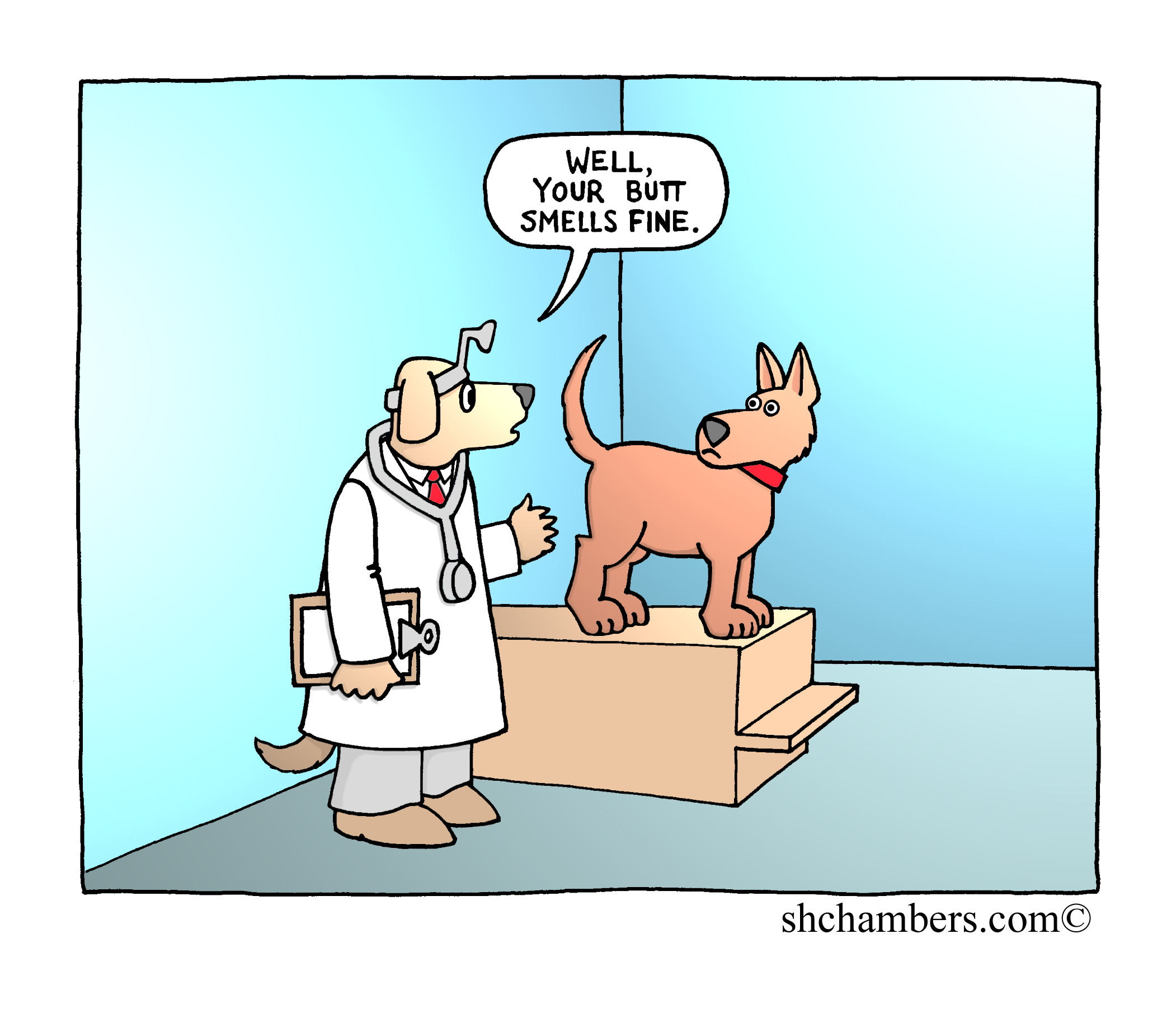 Canine diagnostic techniques are often crude, but effective.