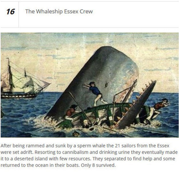 16 The Whaleship Essex Crew After being rammed and sunk by a sperm whale the 21 sailors from the Essex were set adrift. Resorting to cannibalism and drinking urine they eventually made it to a deserted island with few resources. They separated to find hel