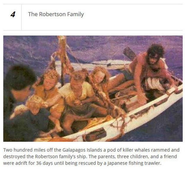 robertson family attacked by orcas - The Robertson Family Two hundred miles off the Galapagos Islands a pod of killer whales rammed and destroyed the Robertson family's ship. The parents, three children, and a friend were adrift for 36 days until being re
