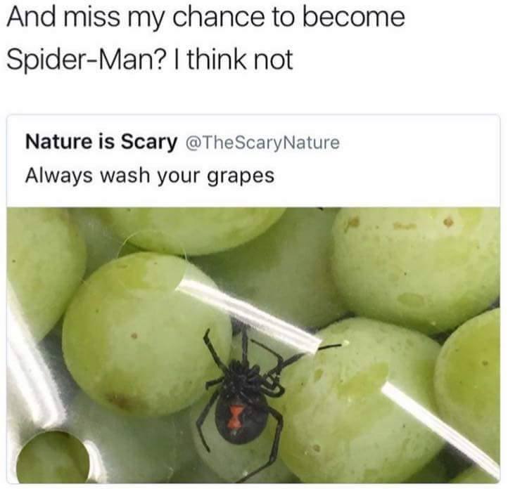 funny meme about becoming Spider Man from not washing grapes