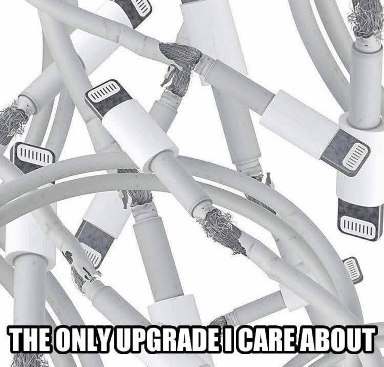 Internet meme - The Onlyupgradei Care About