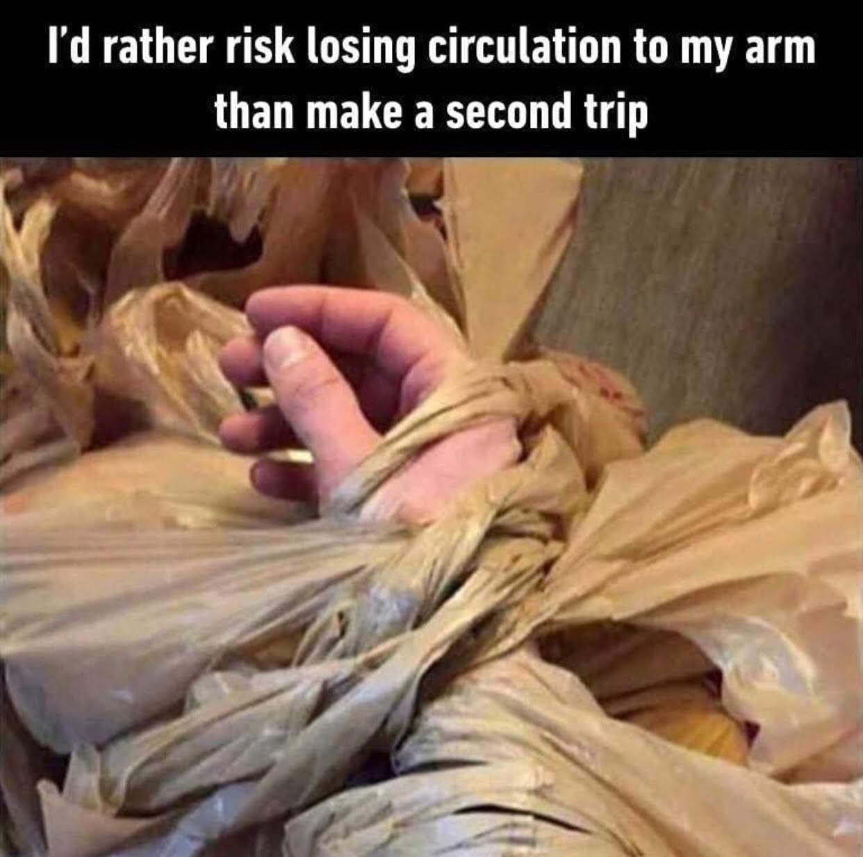 groceries in one trip meme - I'd rather risk losing circulation to my arm than make a second trip