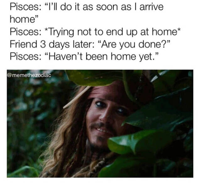 memes - jack sparrow and angelica - Pisces "I'll do it as soon as I arrive home" Pisces Trying not to end up at home Friend 3 days later "Are you done? Pisces "Haven't been home yet.