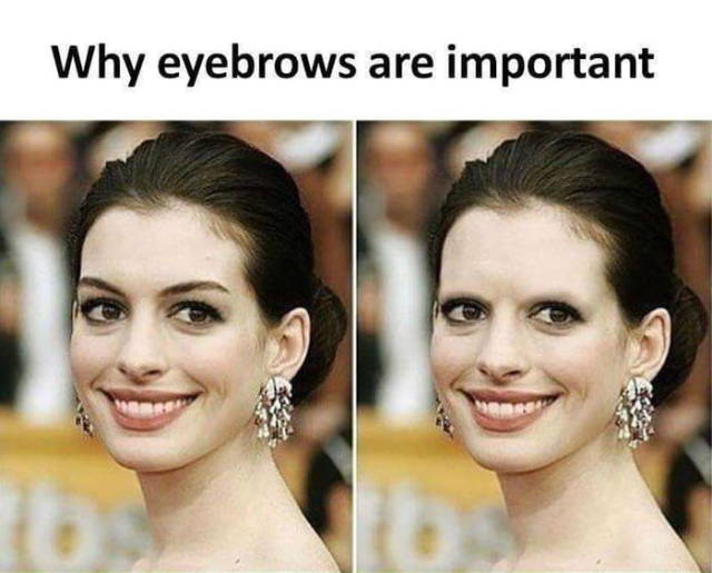 memes - eyebrows are important - Why eyebrows are important