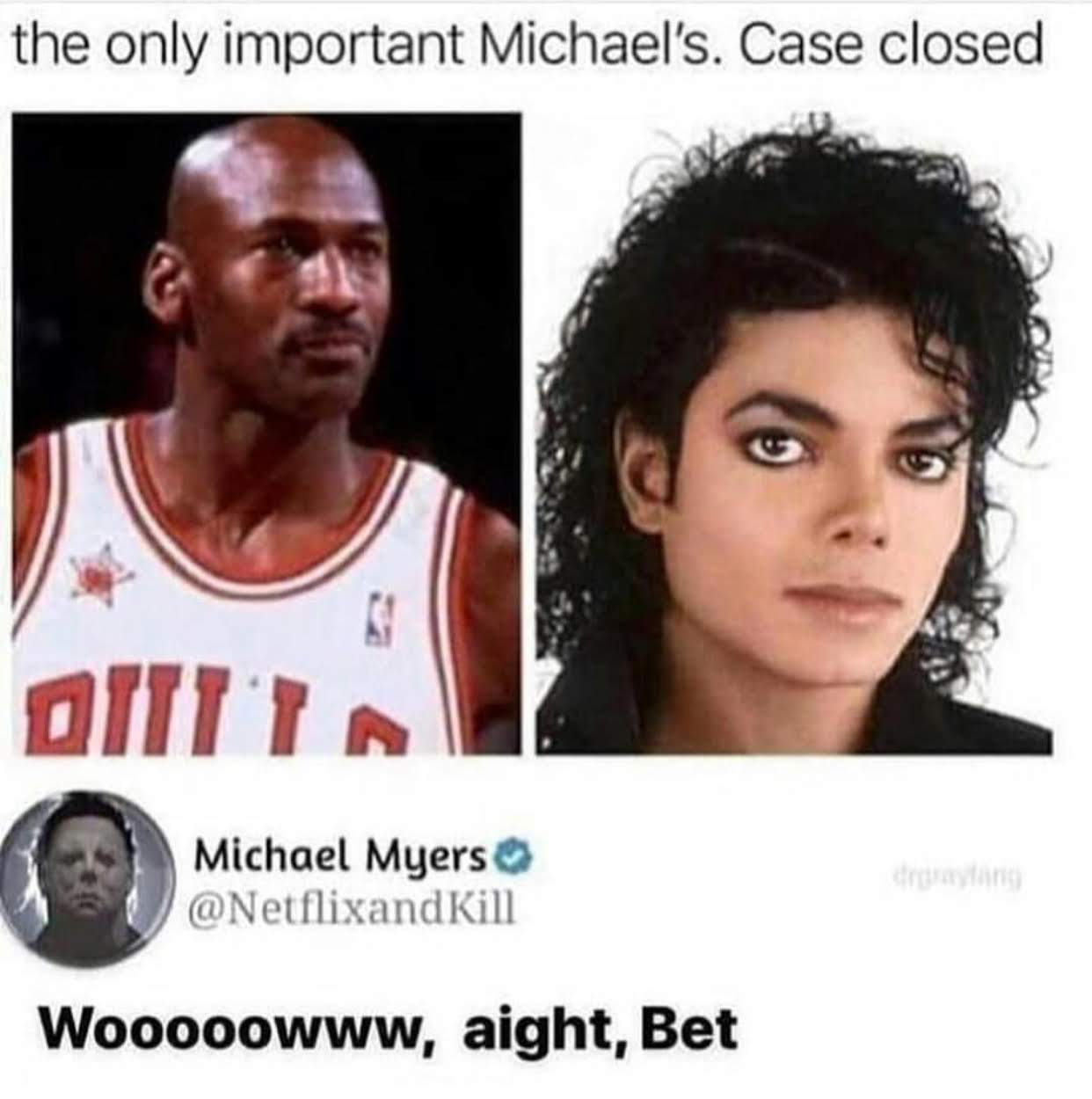 memes - only important michaels meme - the only important Michael's. Case closed Qilia Michael Myers Wooooowww, aight, Bet