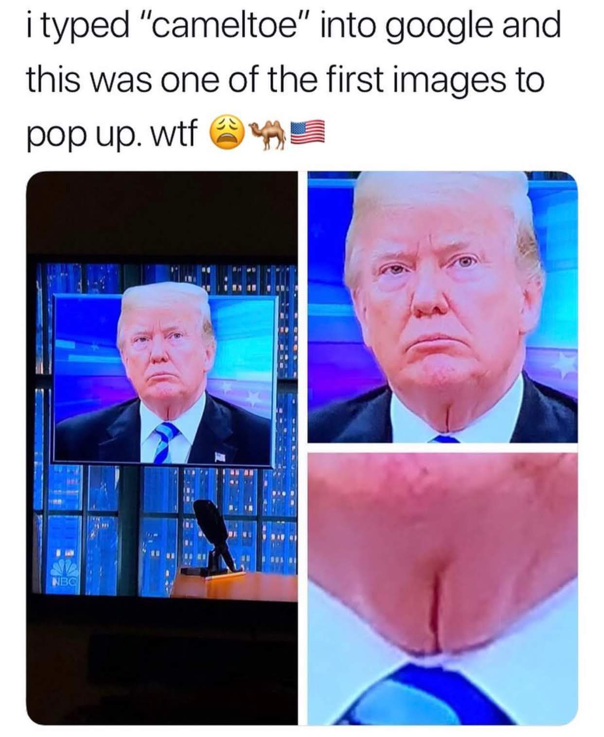 memes - donald trump vagineck - i typed "cameltoe" into google and this was one of the first images to pop up. wtf @ Nbc