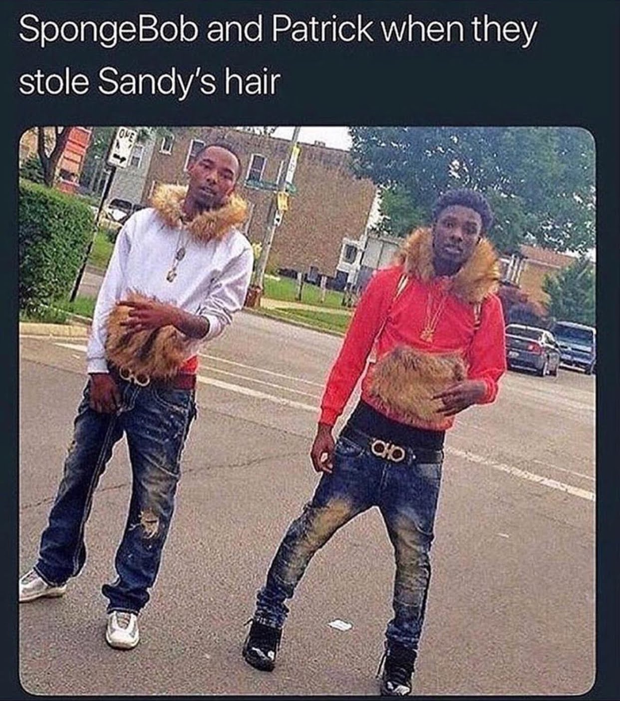 memes - asoingbob and patrick - SpongeBob and Patrick when they stole Sandy's hair Olo.