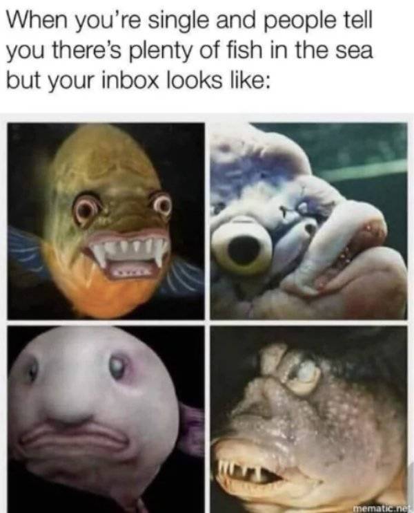 memes - plenty of fish in the sea meme - When you're single and people tell you there's plenty of fish in the sea but your inbox looks