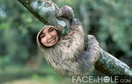 SOOO CUTE!! Cmon we all love sloths