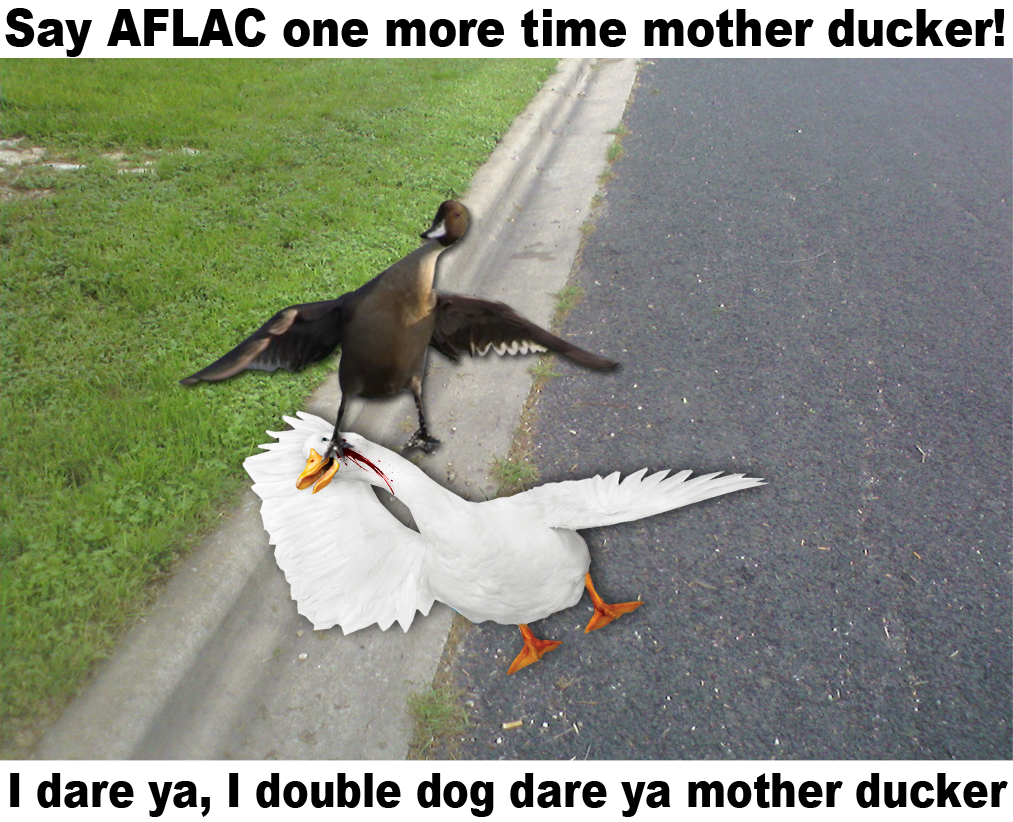 Does AFLAC cover personal injuries?