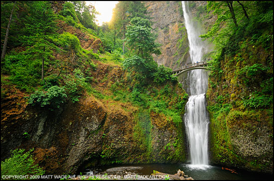 Multnomah, Oregon, USAPeaceful waterfall surrounded by greenery.