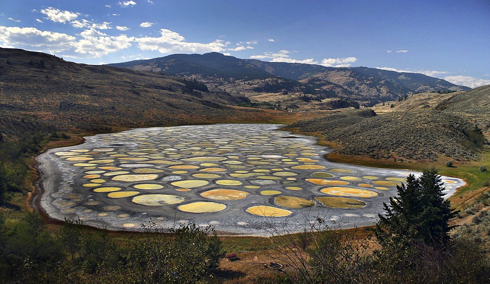 Spotted Lake, CanadaWhen the water starts to evaporate it forms colorful circles.