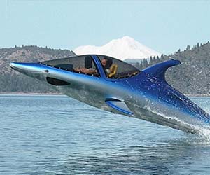 DOLPHIN POWER BOAT: This amazing dolphin boat is capable of submerging and launching at a high speed into the air like a real dolphin. Price: 65,000.00