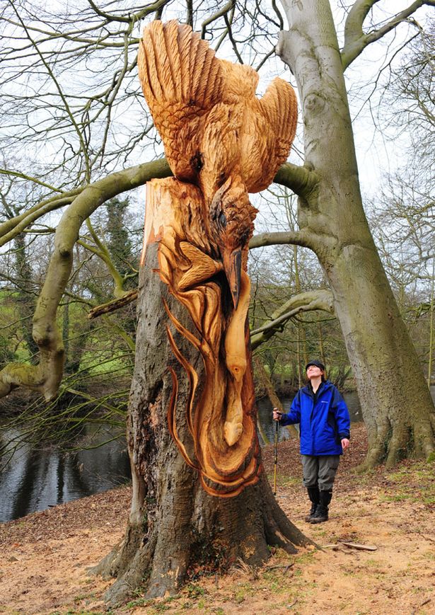 Amazing Wood Sculptures
