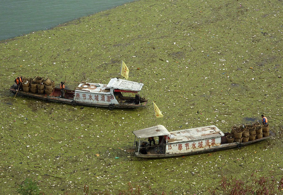 Workers Clean Up Floating Garbage On Yangtze River