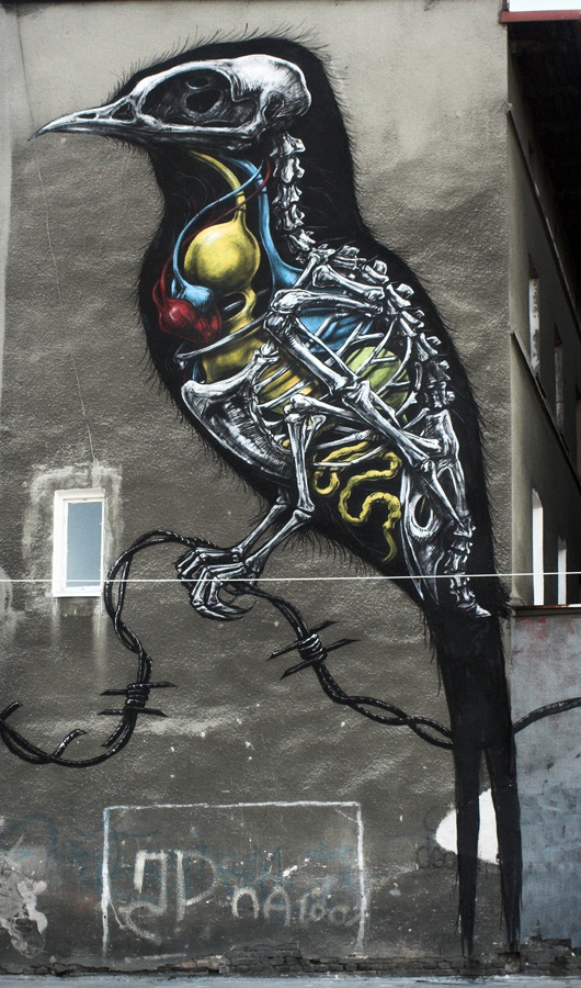 graffiti roa street artist