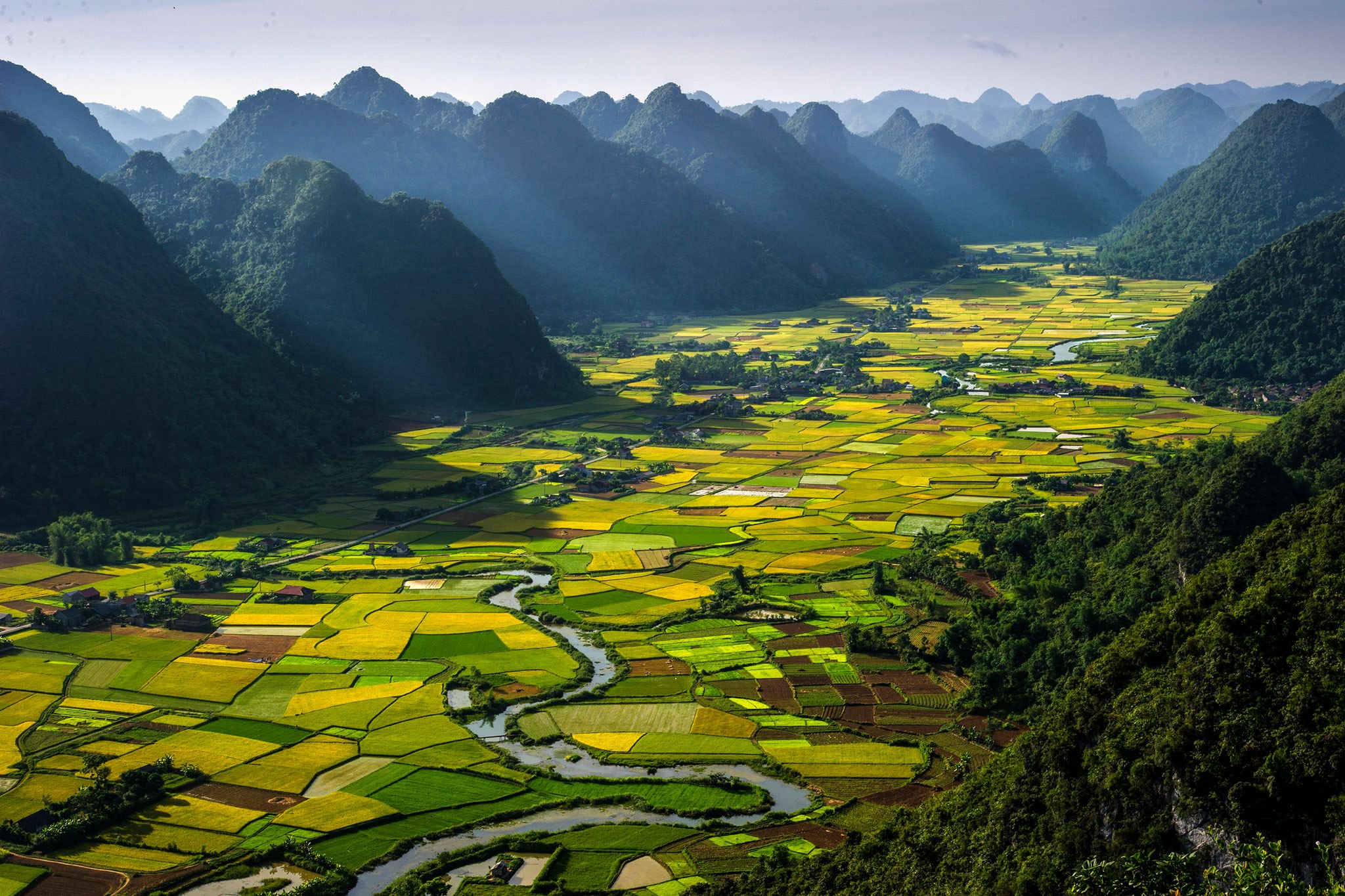 Rice Plots in the Bac Son Valley, Vietnam