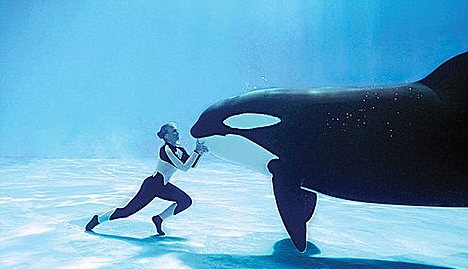 Tilikum, a killer whale at SeaWorld, struck for the third time in 2010 when he grabbed the ponytail of his trainer, Dawn Brancheau, and dragged her to the bottom of the pool. Tilikum's violent thrashing fractured Brancheau's jaw, part of her vertebrae, several ribs, and dislocated her elbow. She did not survive the attack. In 1991, trainer Keltie Lee Byrne fell into the enclosure holding Tilikum and two other whales at Sealand in Canada. It was found that the whales prevented her from escaping the enclosure, and her death was ruled an accident. Once again after being transferred to SeaWorld in 1999, the body of Daniel Dukes was found naked and draped over Tilikum's body in the enclosure. It was reported that Dukes got past security and stayed at the park after it had closed. He then either jumped or fell into Tilikum's pool.