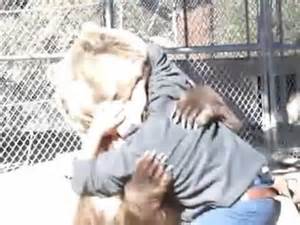 A grizzly bear named Rocky that appeared in a Will Ferrel movie attacked Steven Miller, an experienced trainer, during a stunt in 2008. The bear bit Miller in the neck and had to be subdued with pepper spray. Unfortunately Miller died from the puncture wounds in his neck about 25 minutes after the attack occured.