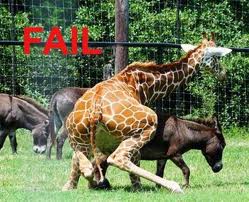 Animals- Weird, Funny, and Fails