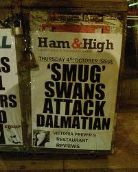 ham and high - Ham&High Thursday 411 October Issue Rs "Smug' Swans Attack Dalmatian Actoria Prevers Restaurant Reviews