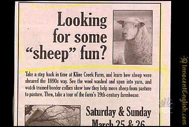 animal - Looking for some "sheep" fun? Take a step back in time at Kline Creek Farm, and learn how sheep were sheared the 1890s way. See the wool washed and spun into yarn, and watch trained border collies show how they help move sleep from pasture to pas