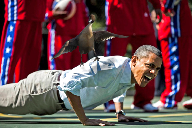 Obama's duck