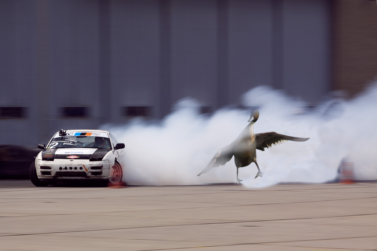 duck drifting with some style