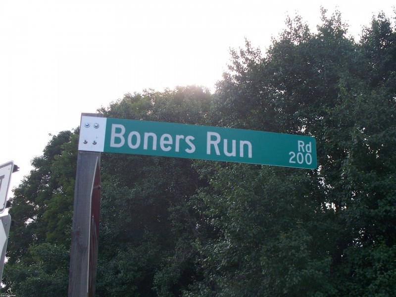 Welcome to Bone Run