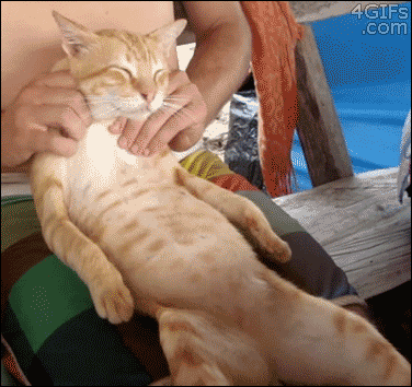 Chill Back and Relax Gifs