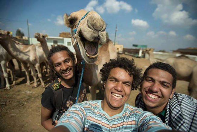 This is probably the only camel who wasn't camera shy, spitting, or biting when some tourists wanted to take a selfie.