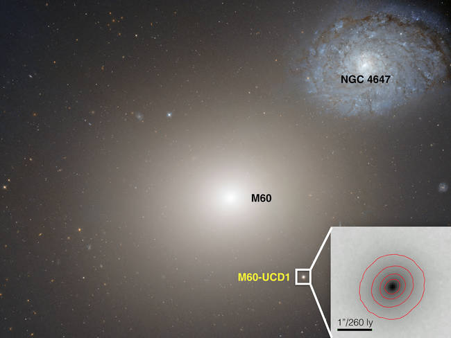 A Black Hole That's Too Big For its Galaxy. Scientists spotted a black hole in the M60-UCD1 galaxy that appears to be much too big for it. It should be very interesting to see how this plays out.