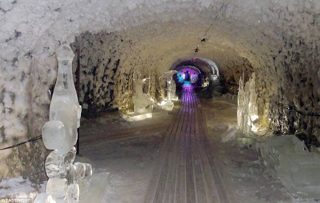 The permafrost is thought to be able to preserve the seeds for 100 years.