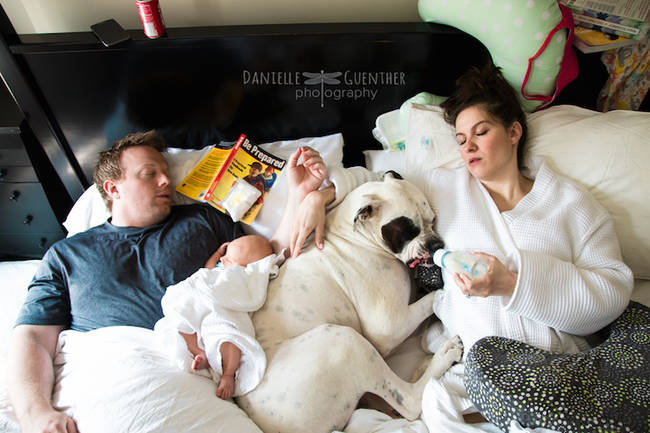 These Photos Prove Family Life Equals Chaos...