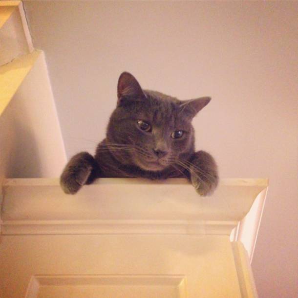 "Is it cool if I just stay up here until it's the weekend?"