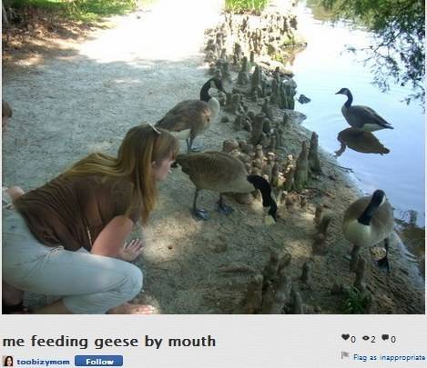 Death by spawns of Satan, also known as geese