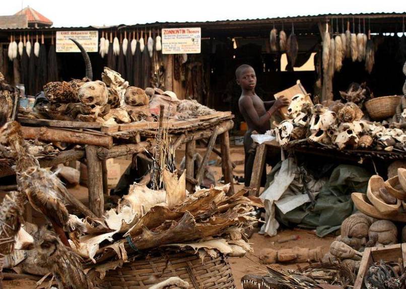 Akodessewa Fetish Market, Togo