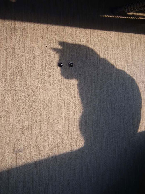 shadow funny