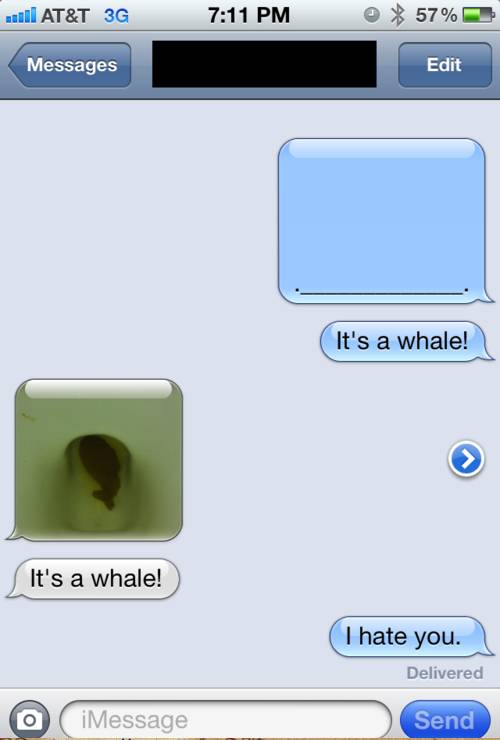 failed text message iphone - mull At&T 3G 57% Messages Edit It's a whale! It's a whale! I hate you. Delivered iMessage Send