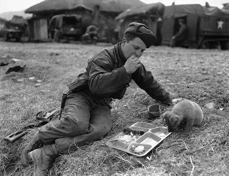 Private Dick L. Powell shares his supper with a puppy. [Korean War, c, 1951]