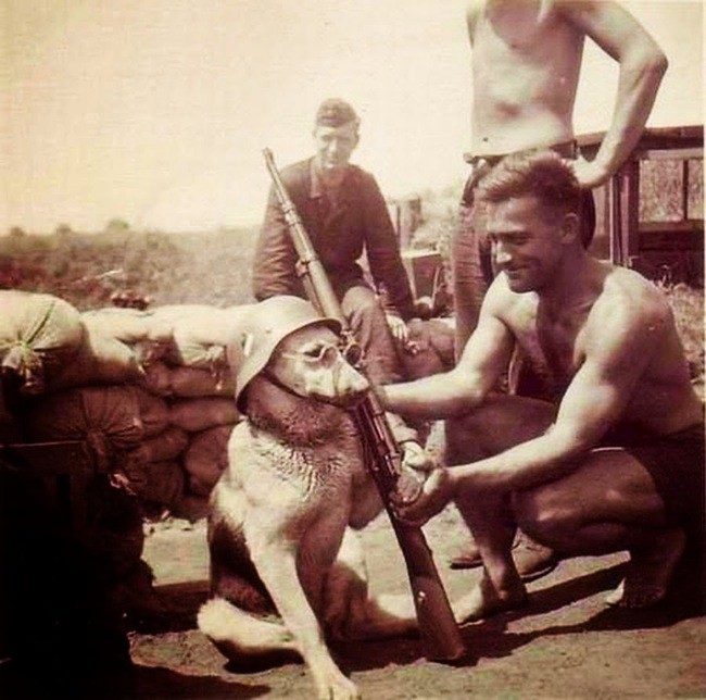 German soldiers pose their dog in 1940.